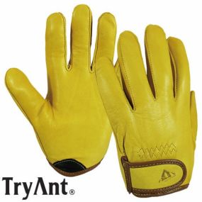 革手袋 TryAnt トライアント ショートシープ(羊革) 10双 #916 総革製革手袋 総革製