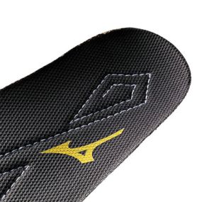 【メール便対応】インソール ミズノ MIZUNO 静電気帯電防止用インソール F1GU220105 中敷インソール 中敷