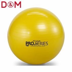 トレーニング D＆M ディーアンドエム エクササイズボール プロシリーズ 45cm SDS45 トレーニング機器健康グッズ サプリメント