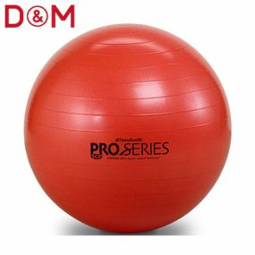 トレーニング D＆M ディーアンドエム エクササイズボール プロシリーズ 55cm SDS55 トレーニング機器健康グッズ サプリメント
