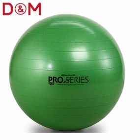 トレーニング D＆M ディーアンドエム エクササイズボール プロシリーズ 65cm SDS65 トレーニング機器健康グッズ サプリメント